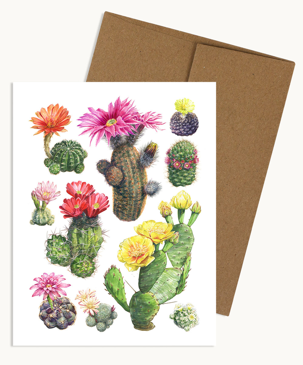 63 Small Flower Fishhook Cactus Images, Stock Photos, 3D objects