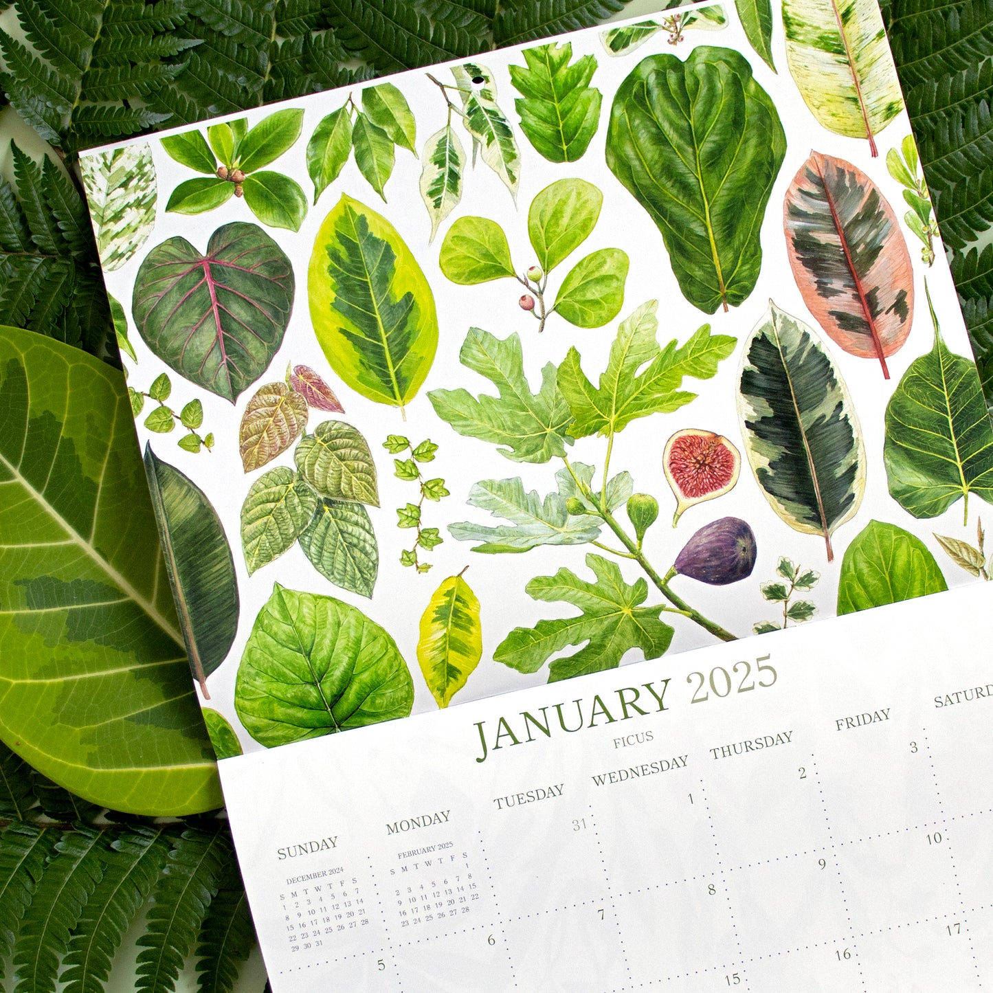 2025 Botanical Illustration Wall Calendar