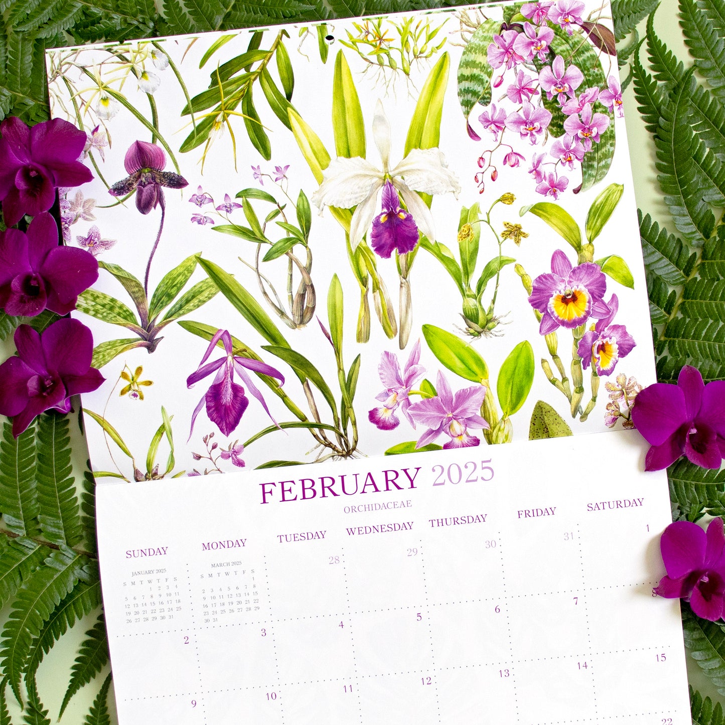 2025 Botanical Illustration Wall Calendar