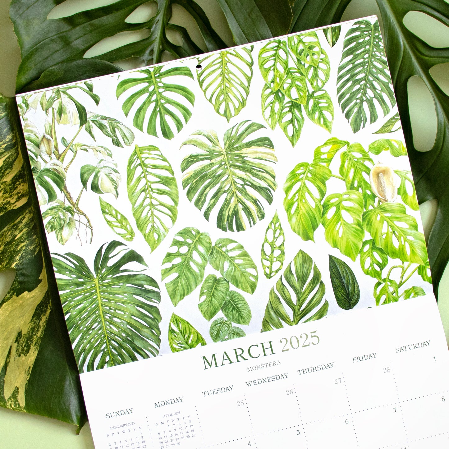 2025 Botanical Illustration Wall Calendar