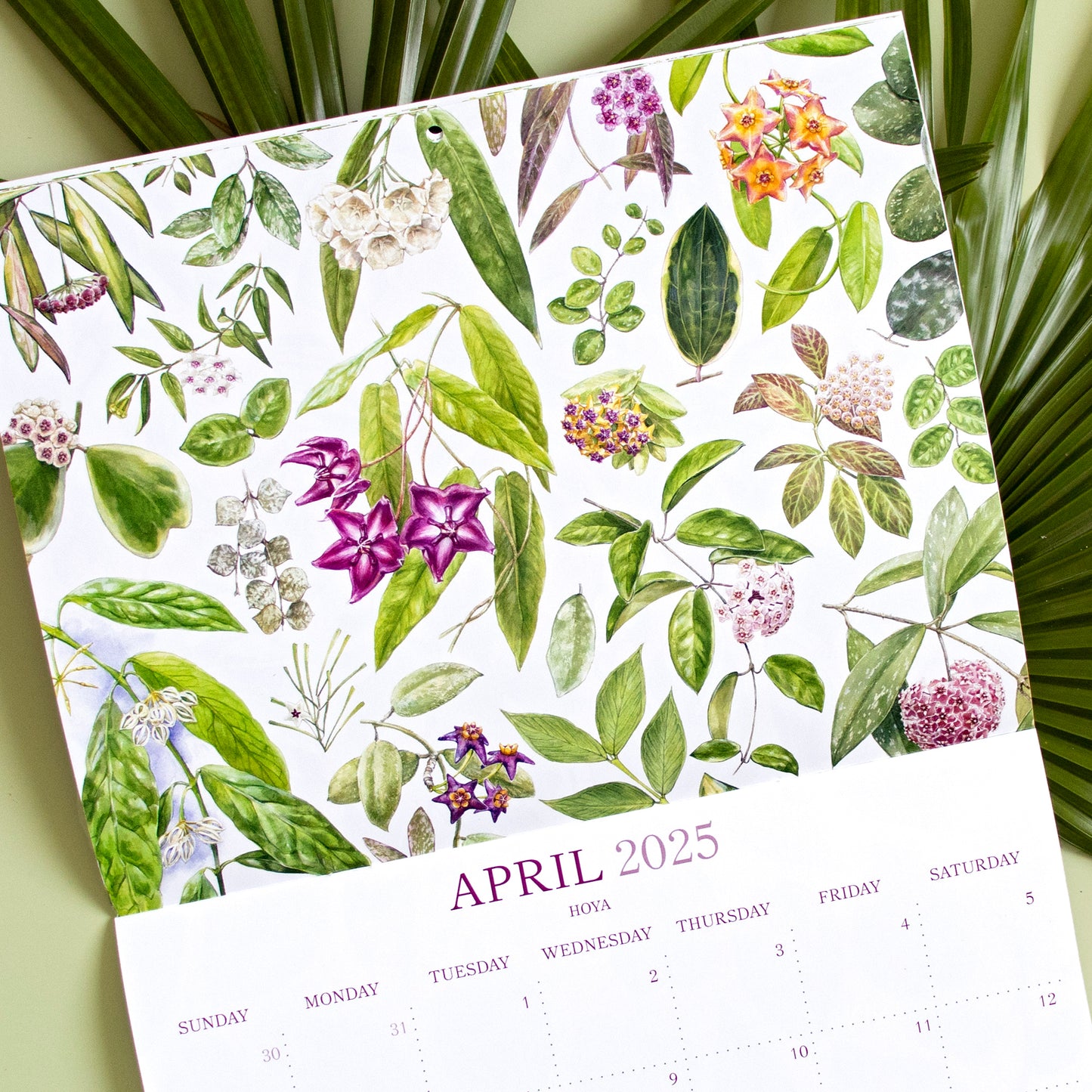 2025 Botanical Illustration Wall Calendar