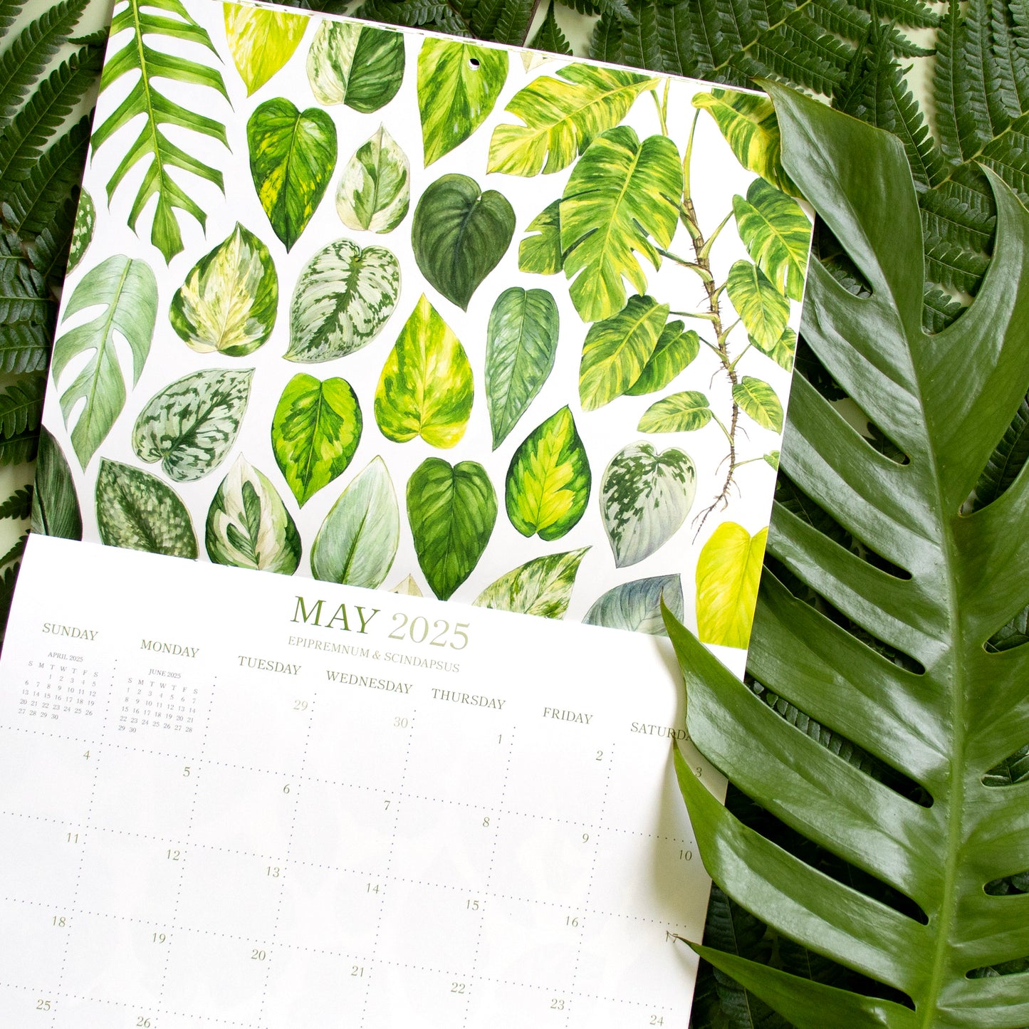 2025 Botanical Illustration Wall Calendar