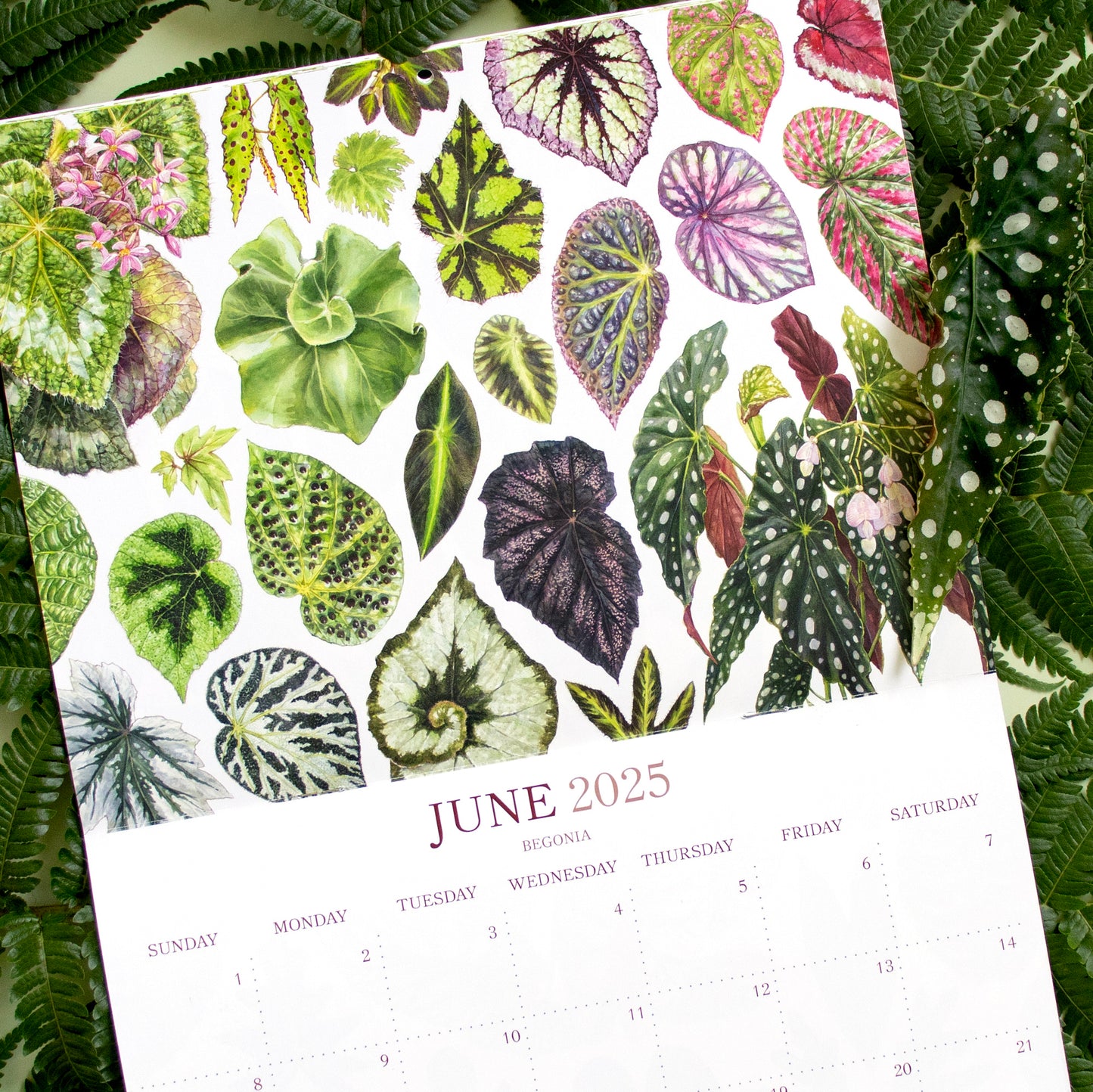 2025 Botanical Illustration Wall Calendar