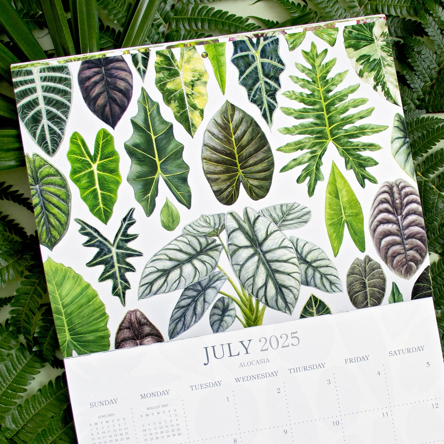 2025 Botanical Illustration Wall Calendar