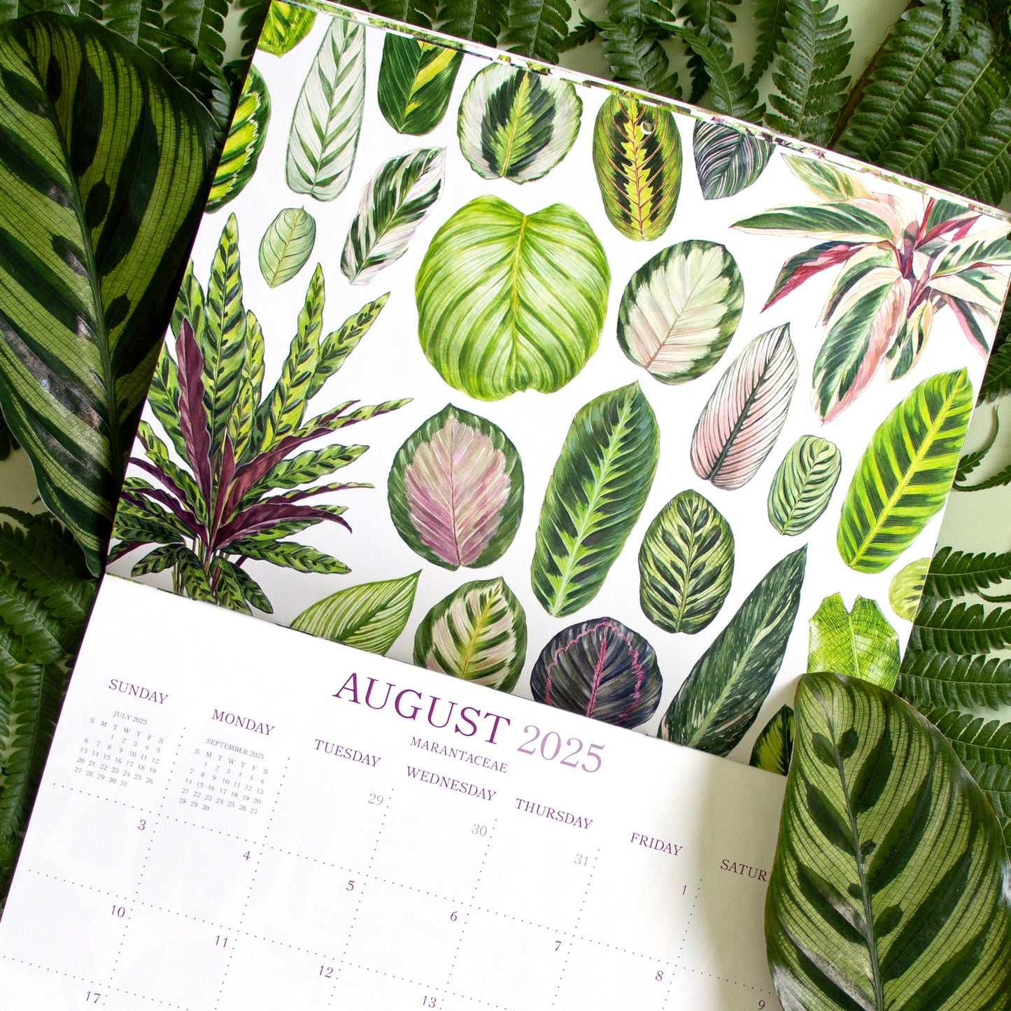 2025 Botanical Illustration Wall Calendar