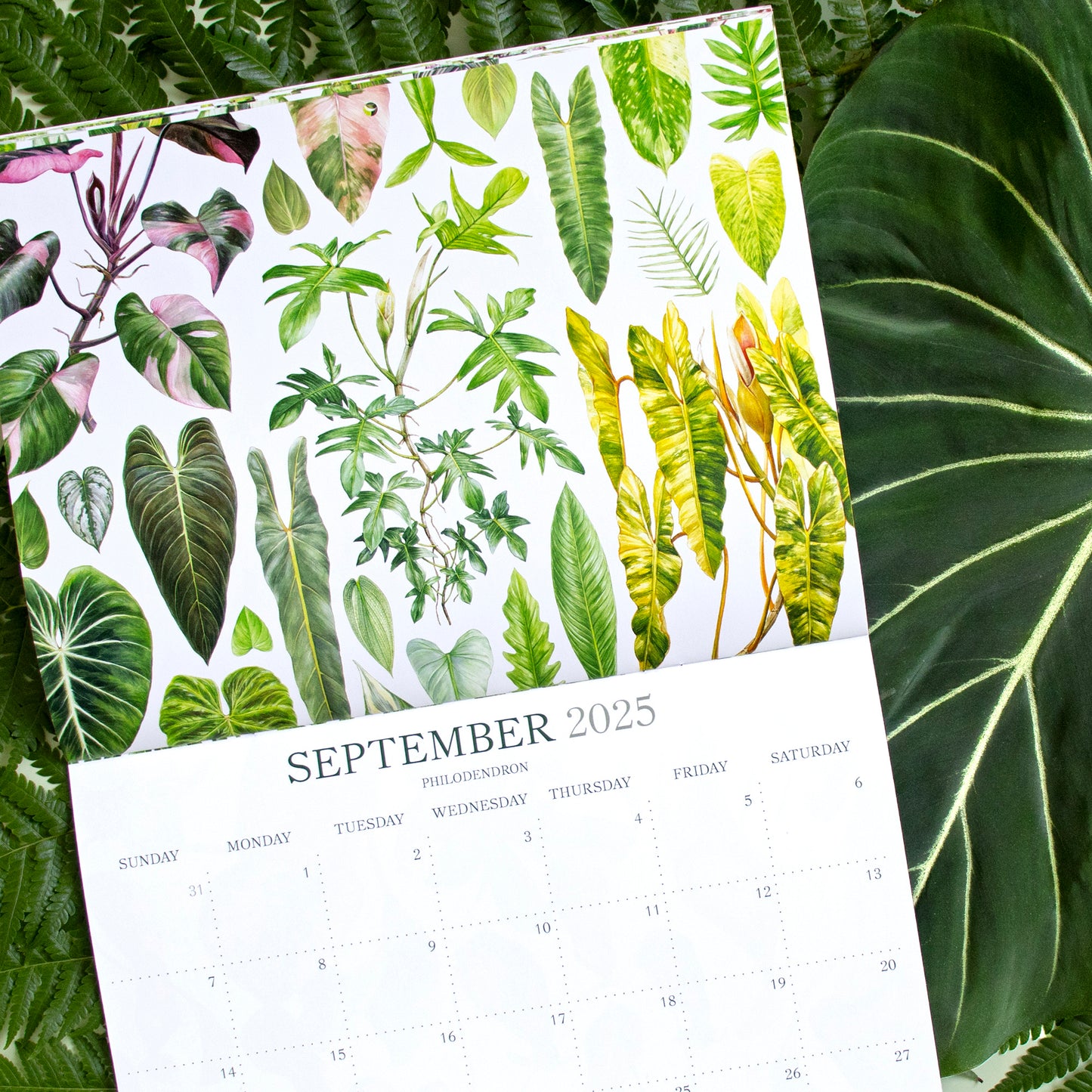 2025 Botanical Illustration Wall Calendar