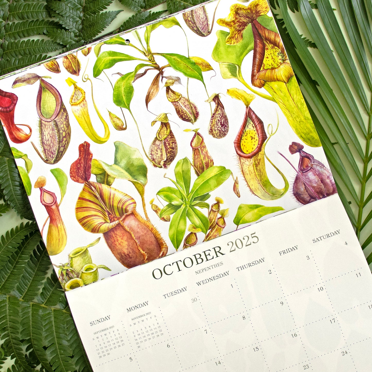 2025 Botanical Illustration Wall Calendar