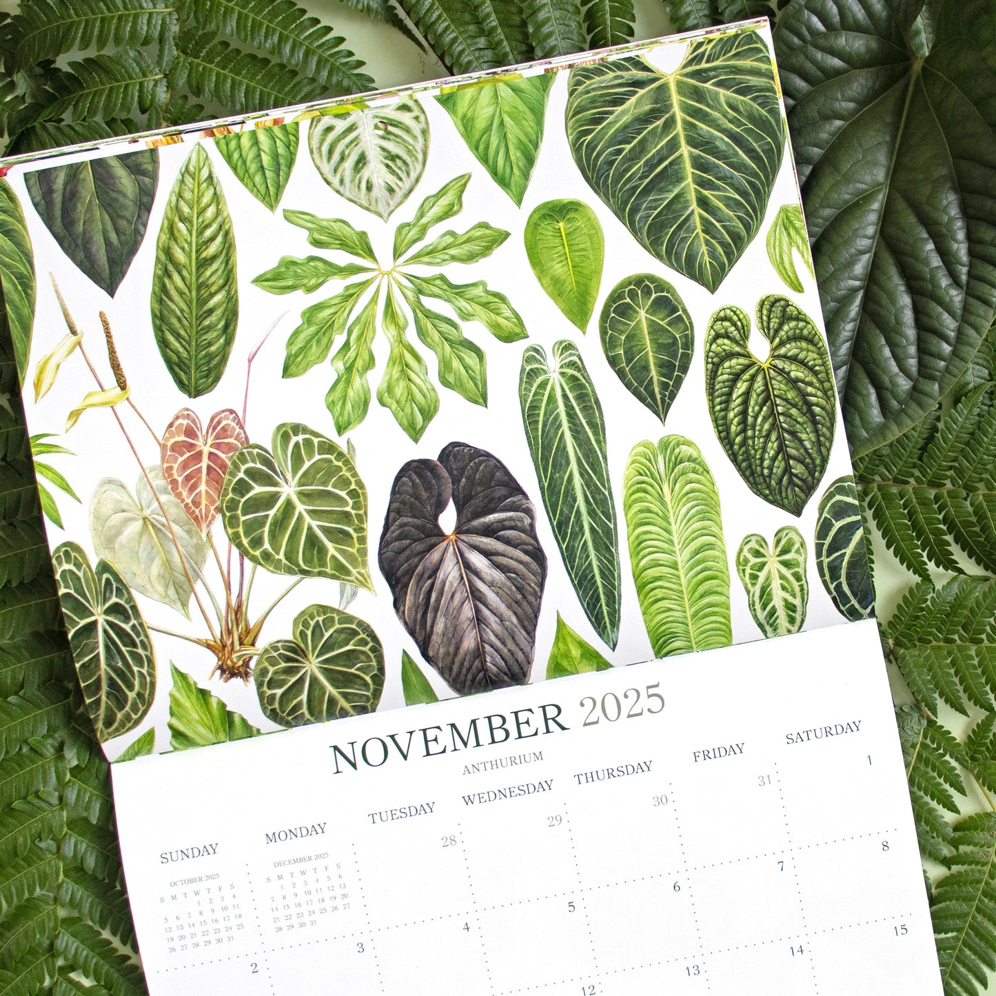 2025 Botanical Illustration Wall Calendar