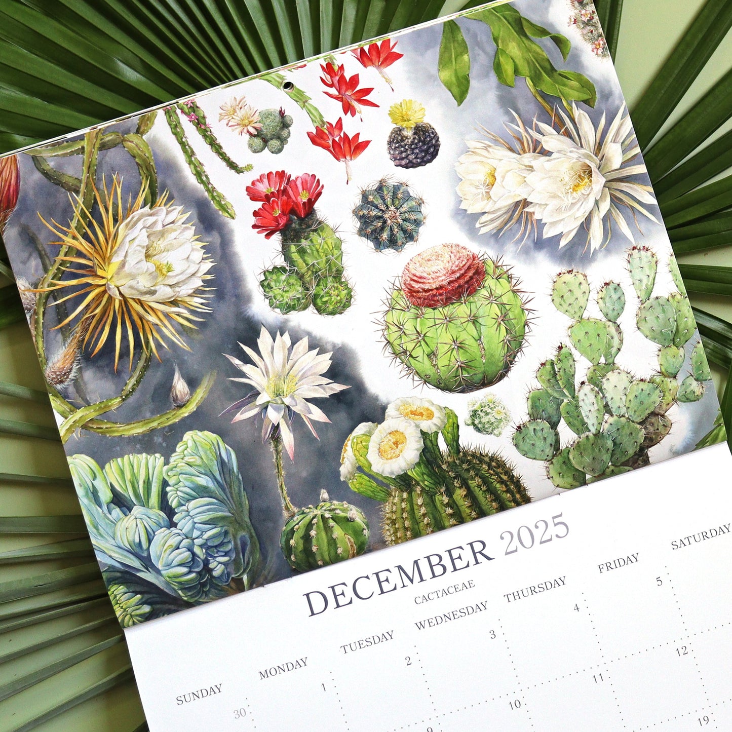 2025 Botanical Illustration Wall Calendar