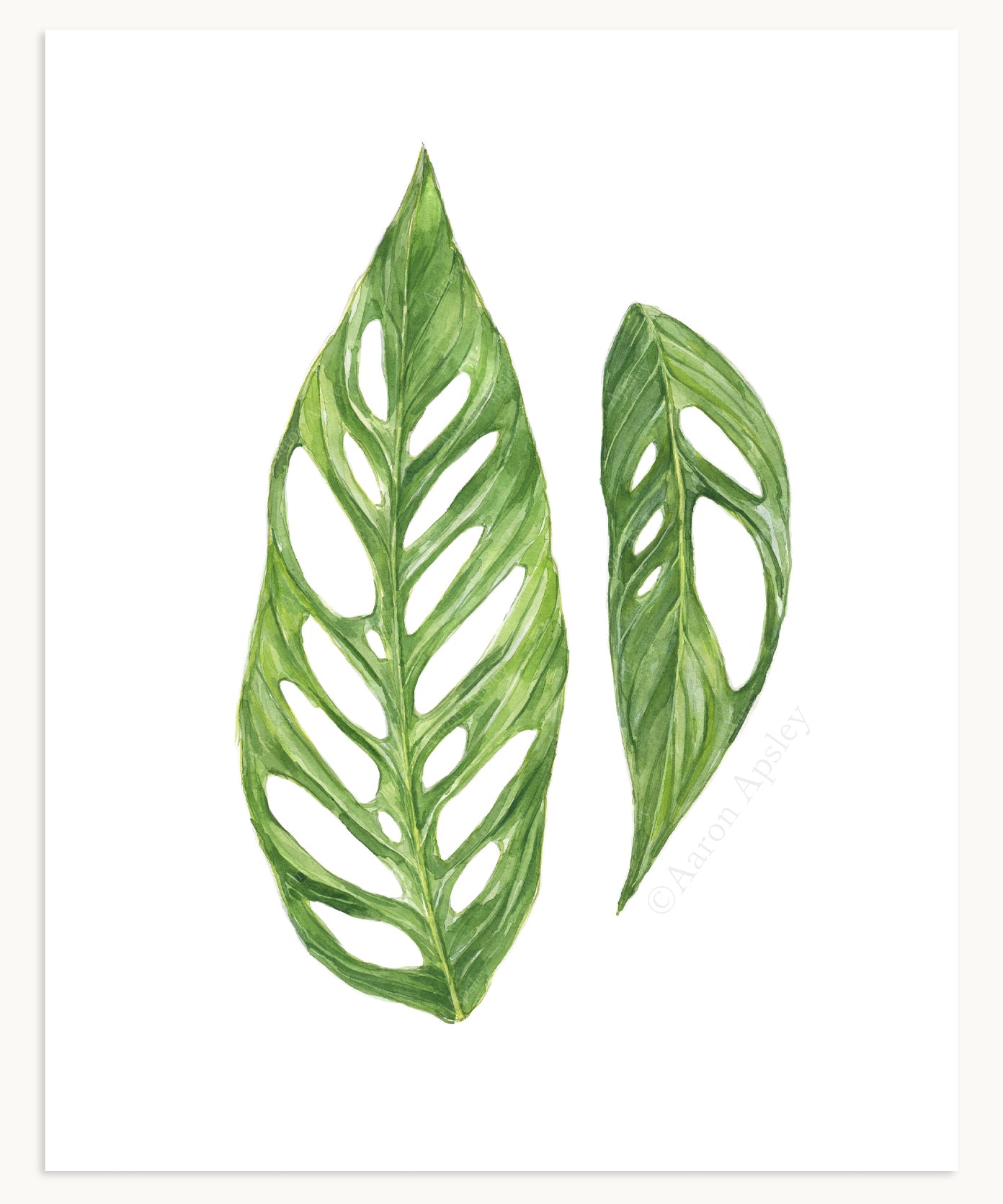 Tropical Leaf Print - 8"x10"