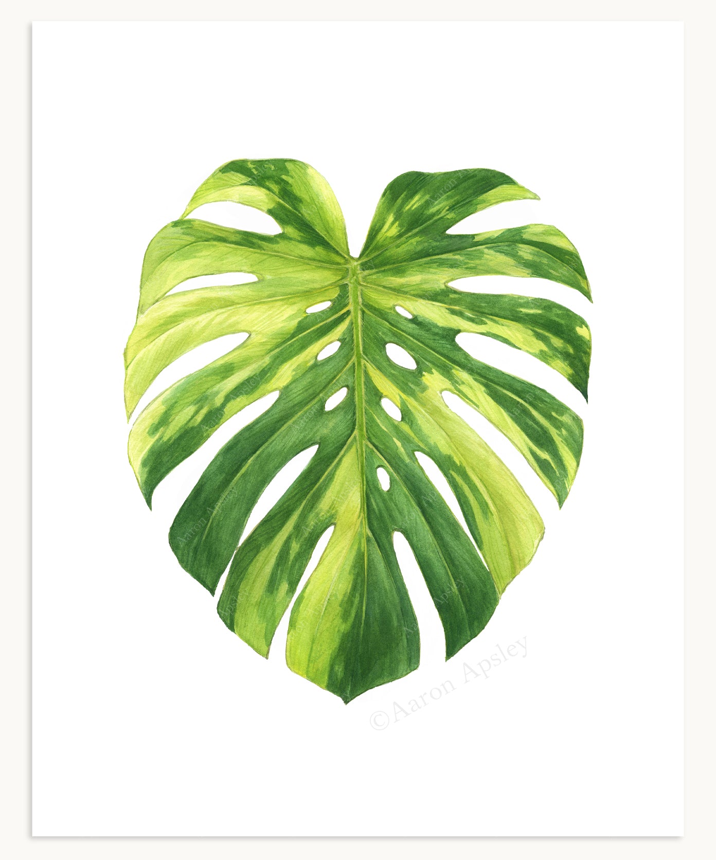 Tropical Leaf Print - 8"x10"