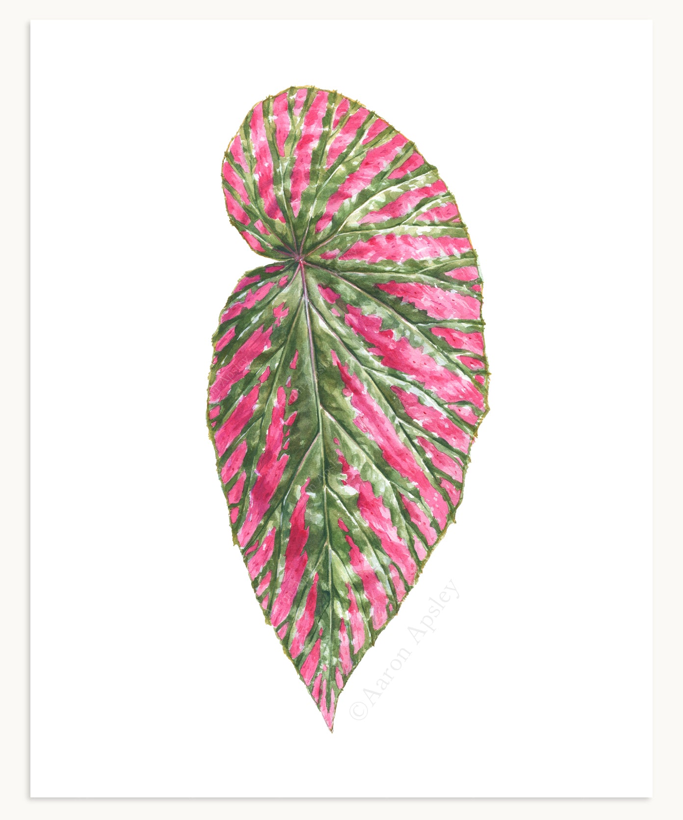 Tropical Leaf Print - 8"x10"