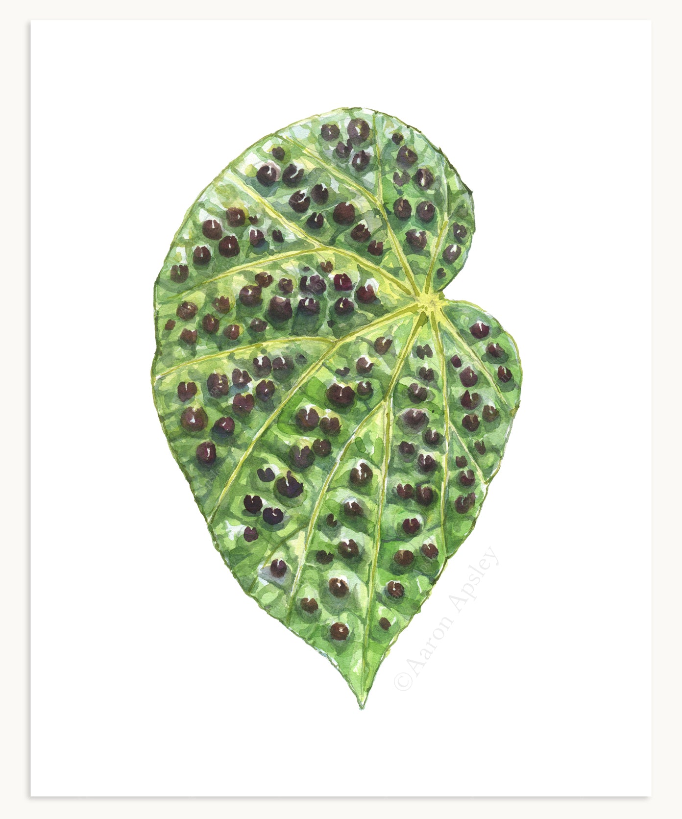 Tropical Leaf Print - 8"x10"