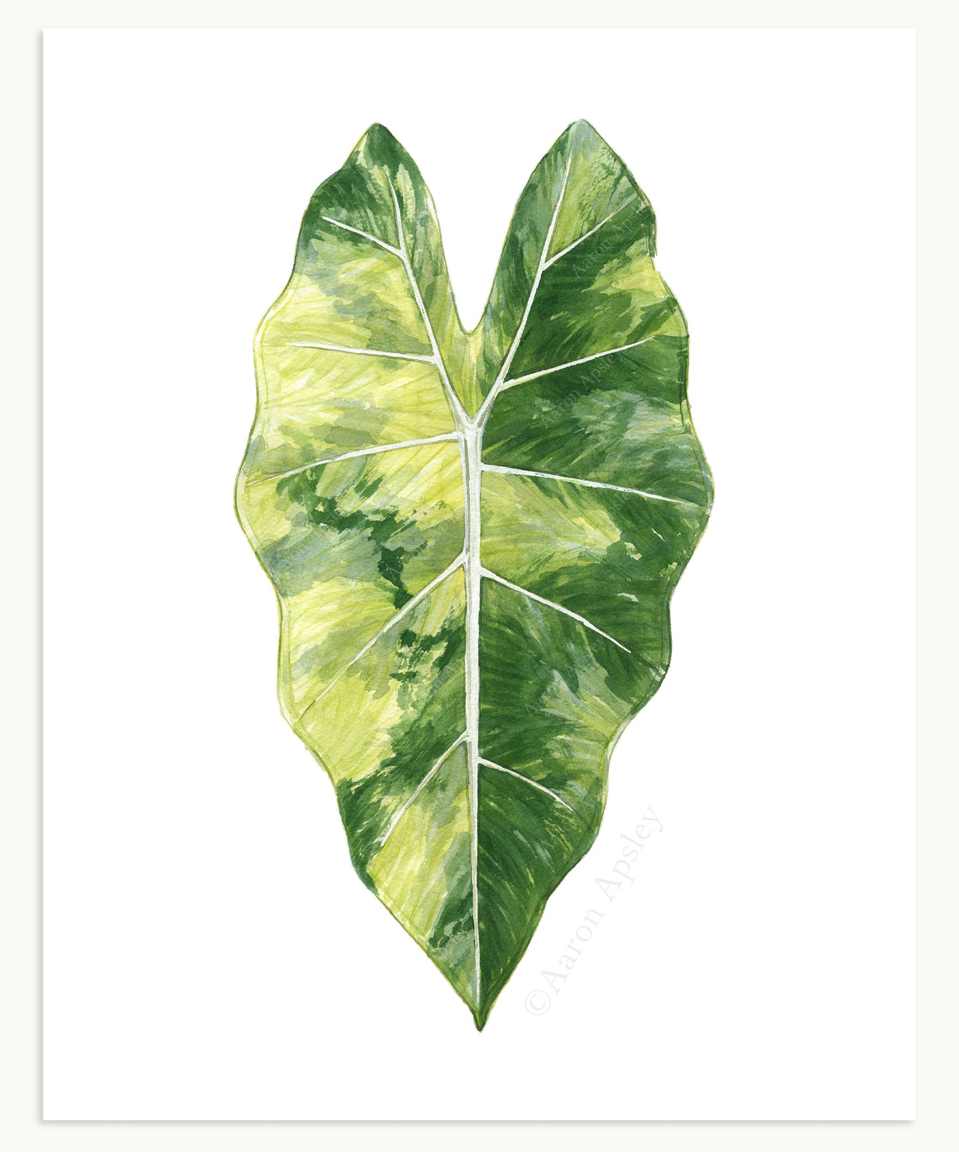 Tropical Leaf Print - 8"x10"