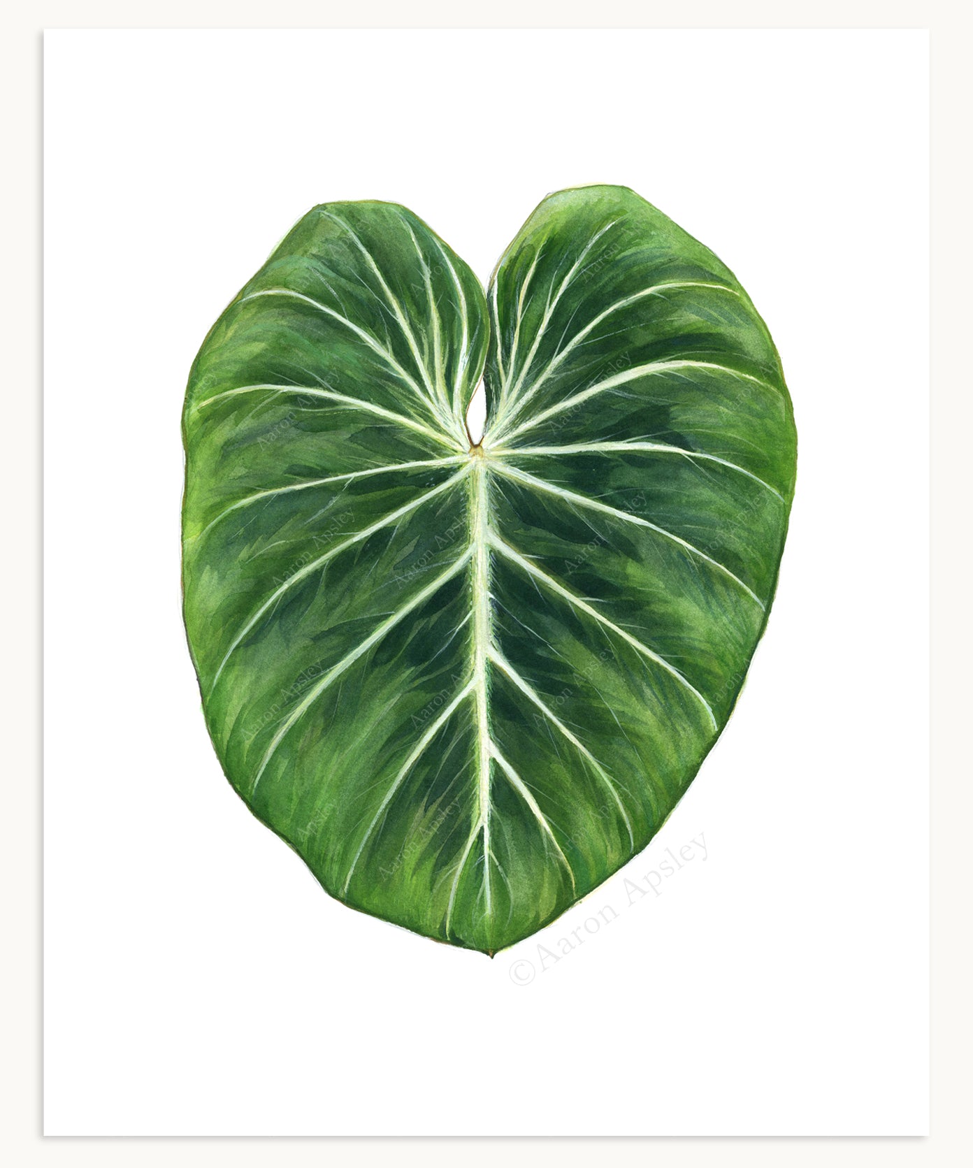 Tropical Leaf Print - 8"x10"