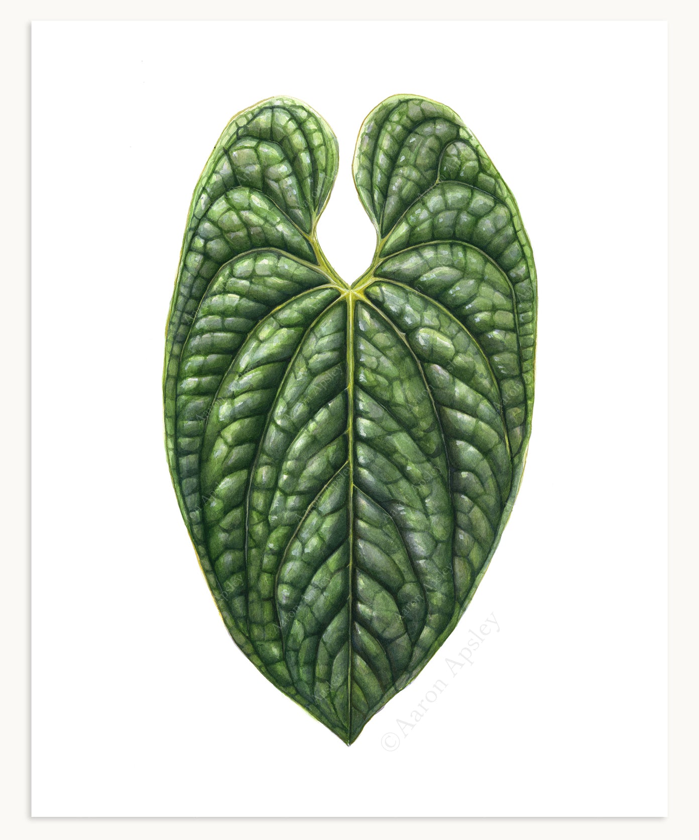 Tropical Leaf Print - 8"x10"