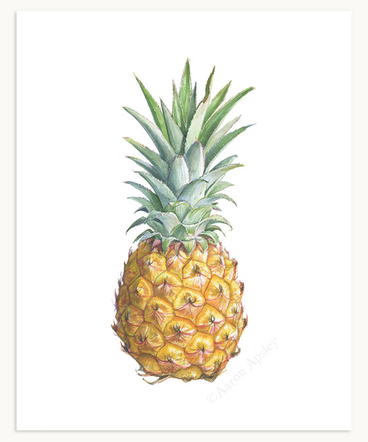 Pineapple Fruit Print