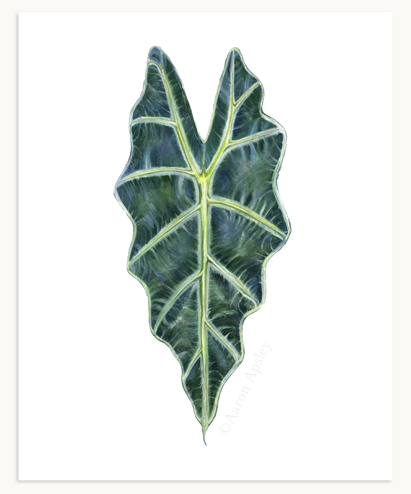 Tropical Leaf Print - 8"x10"