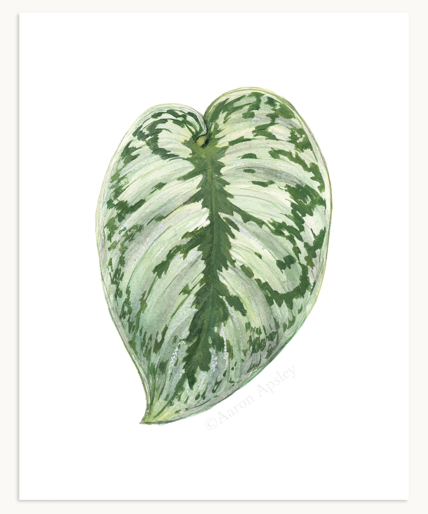 Tropical Leaf Print - 8"x10"