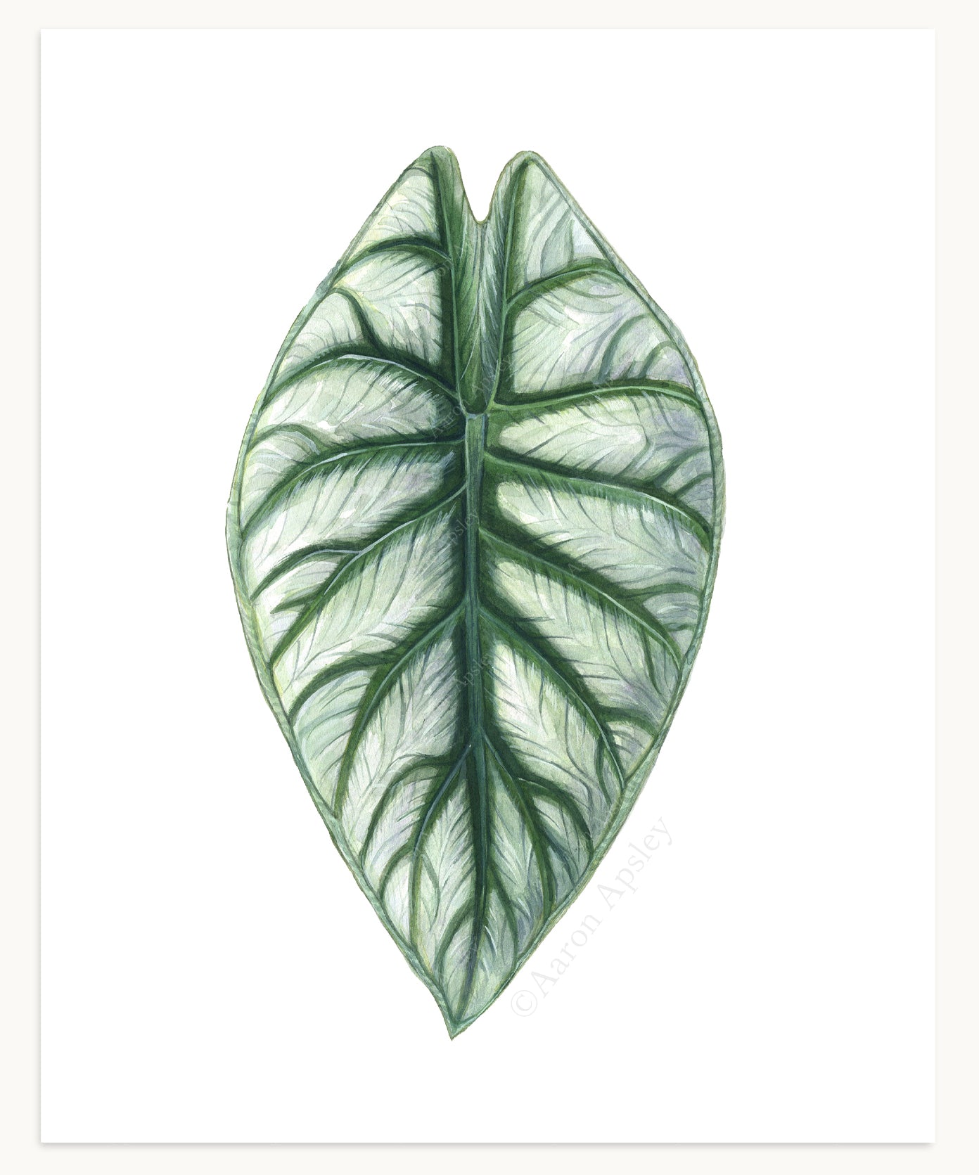 Tropical Leaf Print - 8"x10"