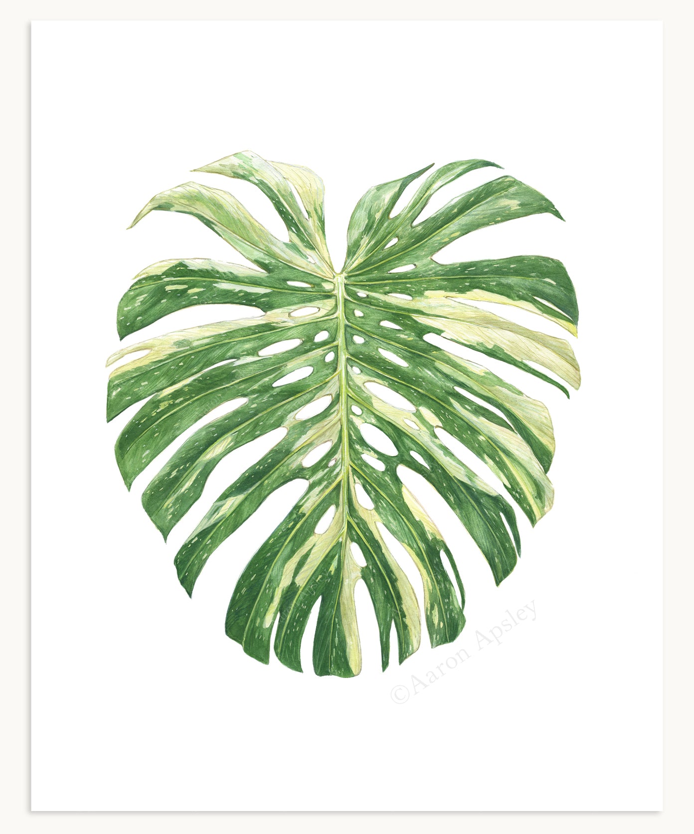 Tropical Leaf Print - 8"x10"