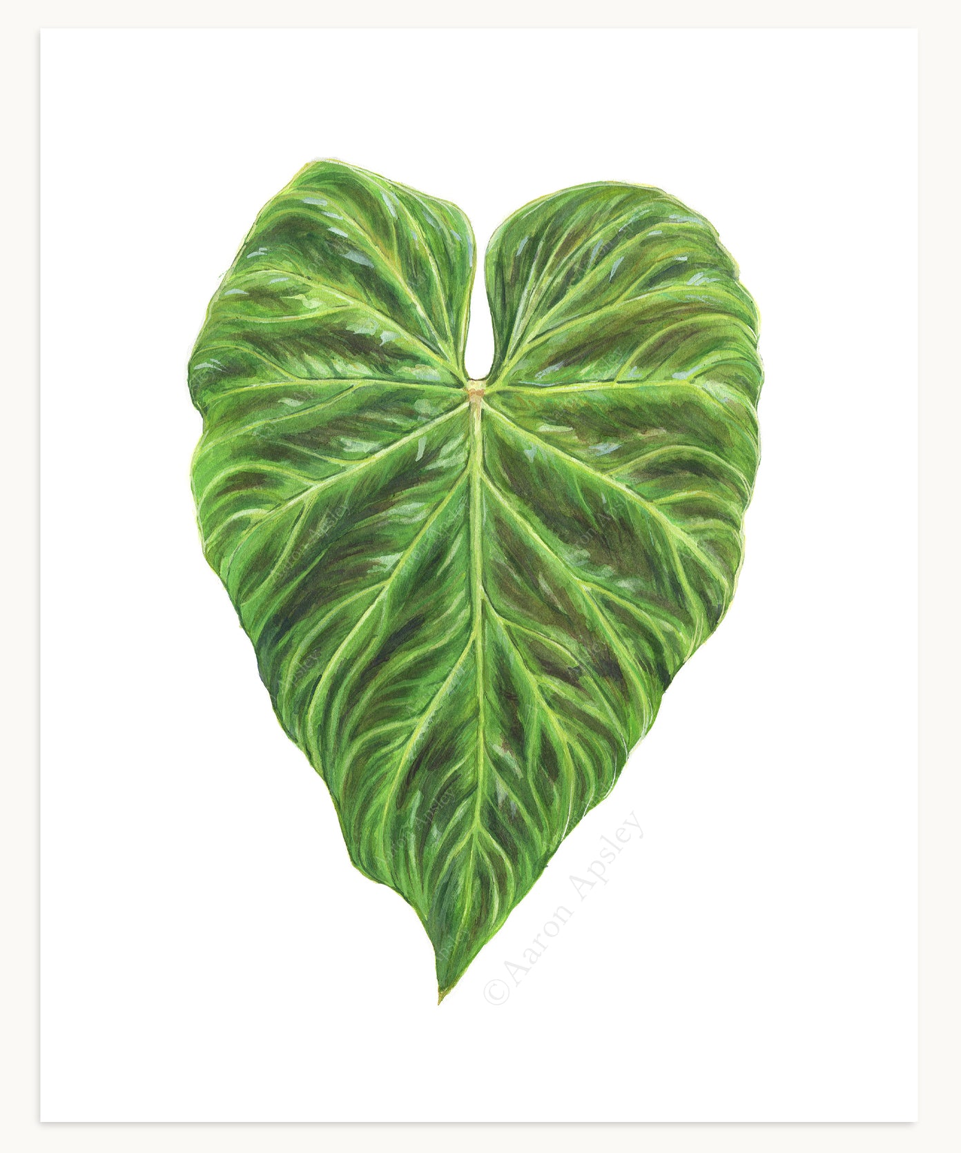 Tropical Leaf Print - 8"x10"